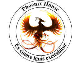 house-system_-phoenix-house