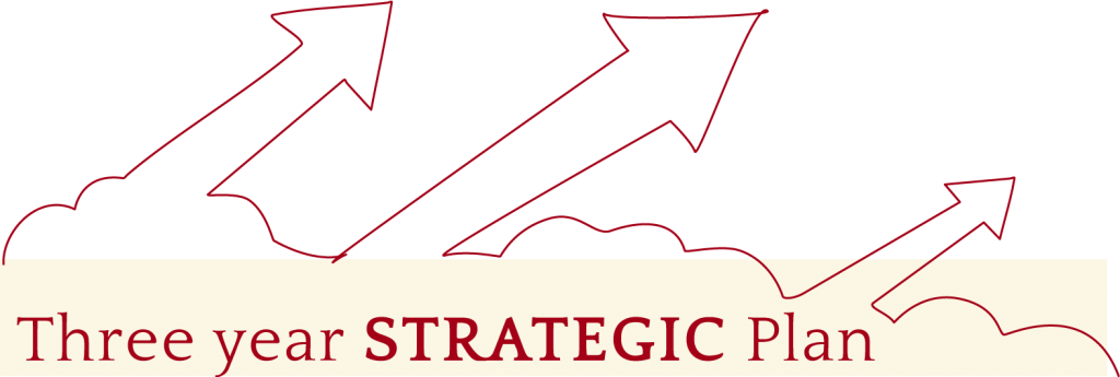 3 year strategic plan